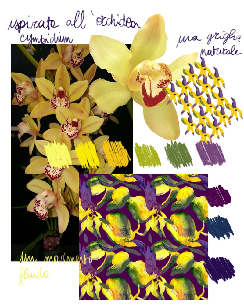 Orchidea