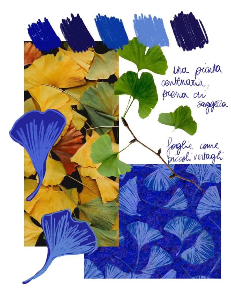Ginkgo