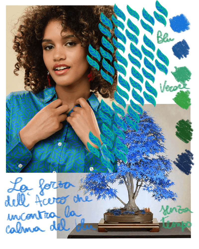 Acero Blu