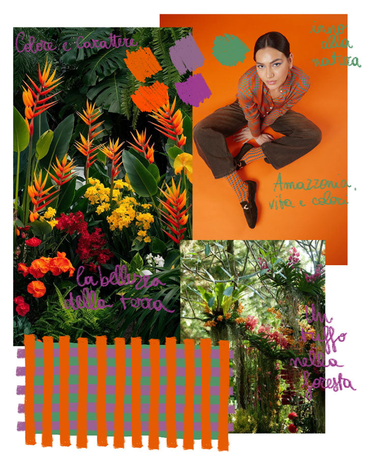 Amazzonia