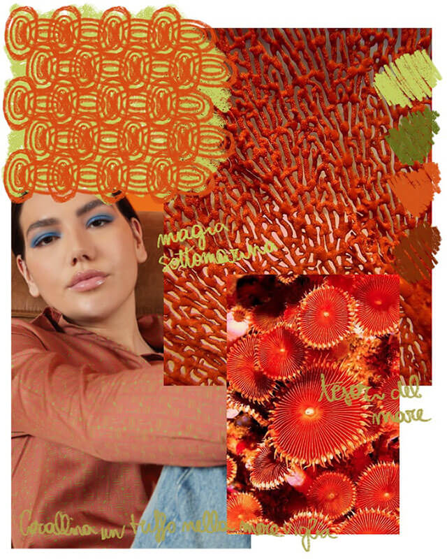 Corallina
